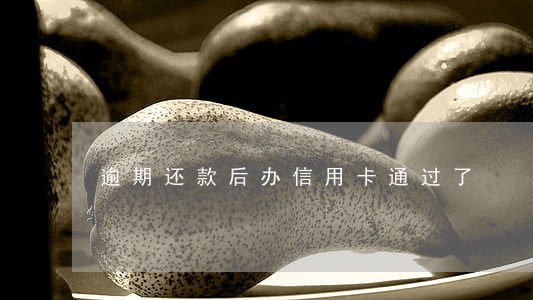 逾期还款后办信用卡通过了 逾期还款后办信用卡通过了