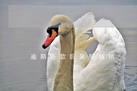 逾期还款后呆账核销