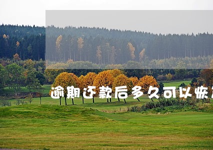 逾期还款后多久可以恢复征信