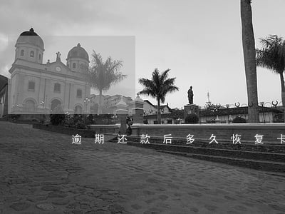 逾期还款后多久恢复卡额度