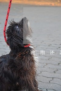 逾期还款后多久恢复征信 逾期还款后多久恢复征信