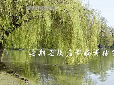 逾期还款后影响考辅警吗