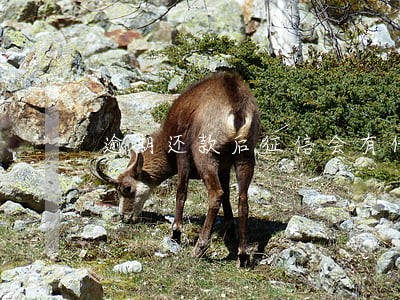 逾期还款后征信会有什么影响 逾期还款后征信会有什么影响