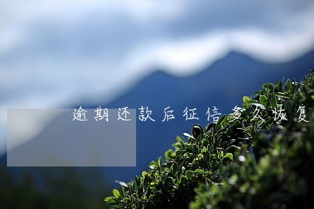 逾期还款后征信多久恢复 逾期还款后征信多久恢复