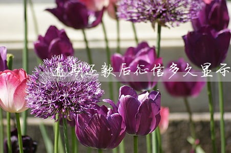 逾期还款后征信多久显示已经还款 逾期还款后征信多久显示已经还款