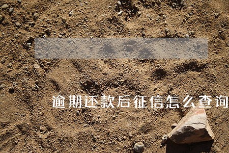 逾期还款后征信怎么查询 逾期还款后征信怎么查询