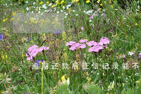 逾期还款后征信记录能不能撤销 逾期还款后征信记录能不能撤销