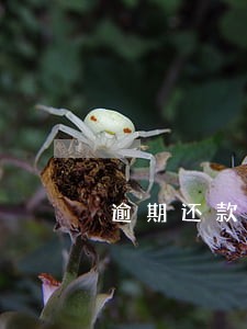 逾期还款后怎样恢复征信 逾期还款后怎样恢复征信