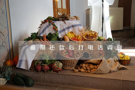 逾期还款后打电话调息 逾期还款后打电话调息