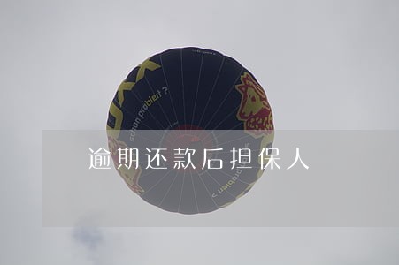 逾期还款后担保人 逾期还款后担保人