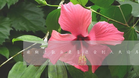 逾期还款后是否还会列入失信名单 逾期还款后是否还会列入失信名单