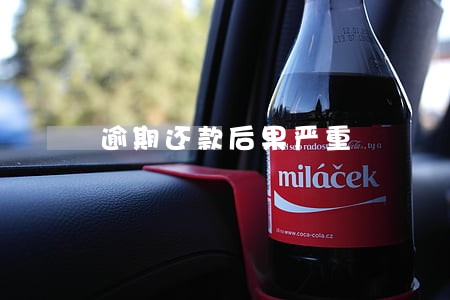逾期还款后果严重 逾期还款后果严重