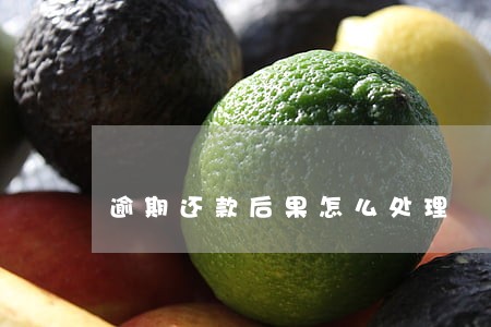 逾期还款后果怎么处理 逾期还款后果怎么处理