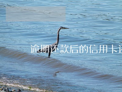 逾期还款后的信用卡还能用吗 逾期还款后的信用卡还能用吗