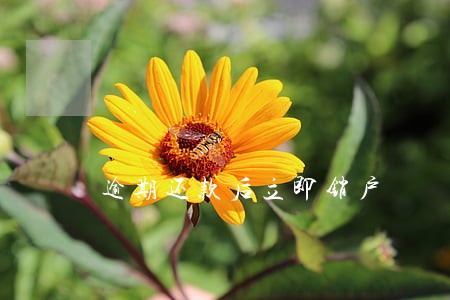 逾期还款后立即销户 逾期还款后立即销户