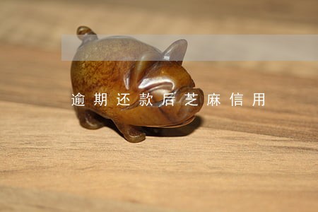 逾期还款后芝麻信用 逾期还款后芝麻信用