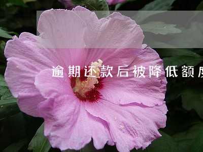 逾期还款后被降低额度吗