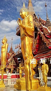 逾期还款后要不要结清证明 逾期还款后要不要结清证明