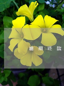 逾期还款后要多久恢复 逾期还款后要多久恢复