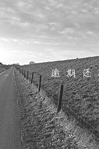逾期还款后账单多久恢复正常 逾期还款后账单多久恢复正常
