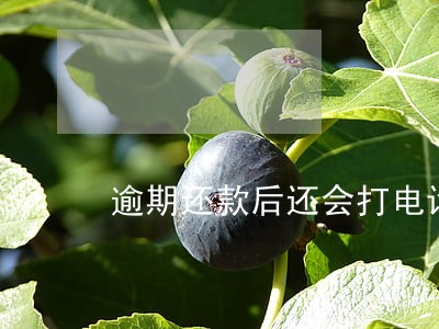 逾期还款后还会打电话催收吗 逾期还款后还会打电话催收吗