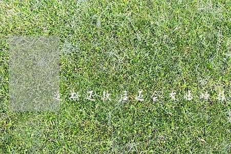 逾期还款后还会有临时额度吗 逾期还款后还会有临时额度吗