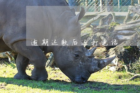 逾期还款后还打电话 逾期还款后还打电话