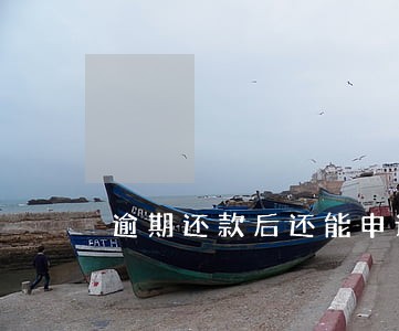 逾期还款后还能申请信用卡么 逾期还款后还能申请信用卡么