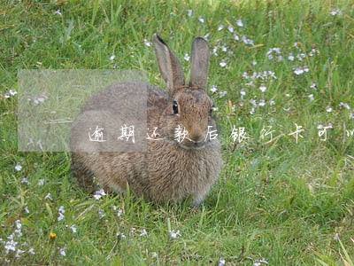逾期还款后银行卡可以解锁吗 逾期还款后银行卡可以解锁吗