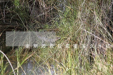 逾期还款后需要多久才能恢复 逾期还款后需要多久才能恢复