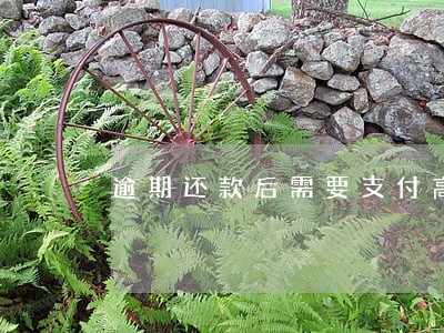 逾期还款后需要支付高额律师费 逾期还款后需要支付高额律师费