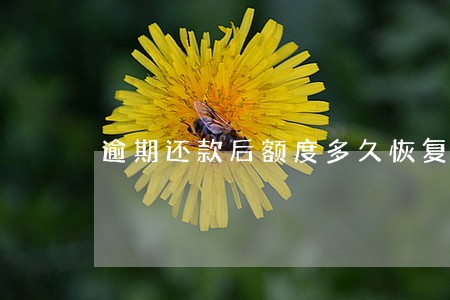 逾期还款后额度多久恢复 逾期还款后额度多久恢复