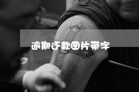 逾期还款图片带字