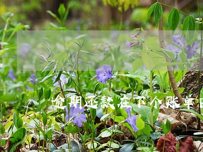 逾期还款在下个账单日前 逾期还款在下个账单日前