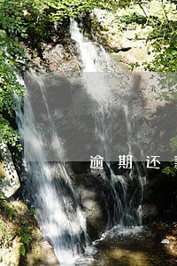 逾期还款在哪上报 逾期还款在哪上报