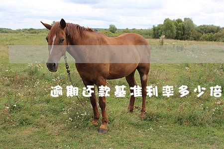 逾期还款基准利率多少倍才合法