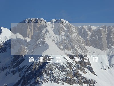 逾期还款处理流程