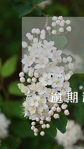 逾期还款多久不显示当前逾期 逾期还款多久不显示当前逾期