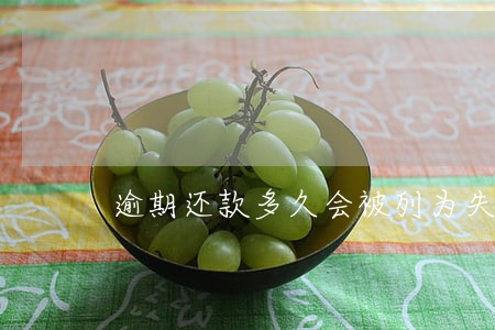 逾期还款多久会被列为失信人员