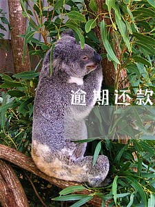 逾期还款多久会造成征信不良 逾期还款多久会造成征信不良