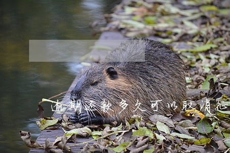 逾期还款多久可以取消征信 逾期还款多久可以取消征信