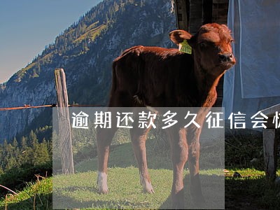 逾期还款多久征信会恢复 逾期还款多久征信会恢复