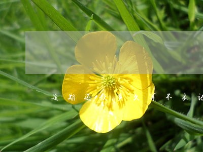 逾期还款多久算不良记录吗 逾期还款多久算不良记录吗
