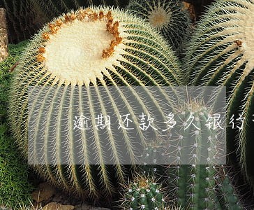 逾期还款多久银行可以解除合同 逾期还款多久银行可以解除合同