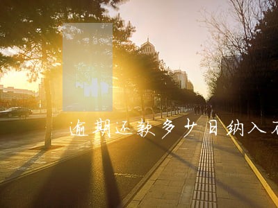 逾期还款多少日纳入不良征信 逾期还款多少日纳入不良征信