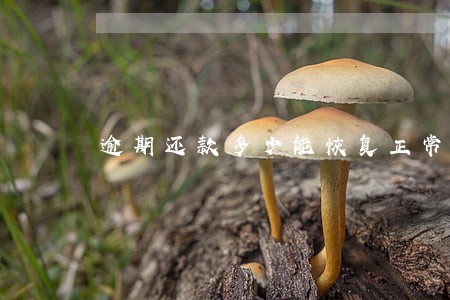 逾期还款多少能恢复正常 逾期还款多少能恢复正常