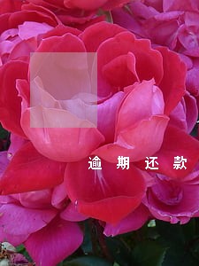 逾期还款多长时间消除 逾期还款多长时间消除