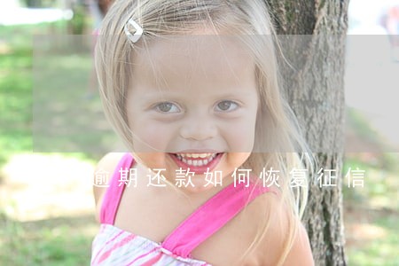 逾期还款如何恢复征信 逾期还款如何恢复征信