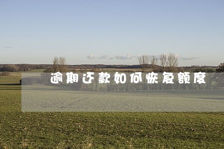 逾期还款如何恢复额度 逾期还款如何恢复额度