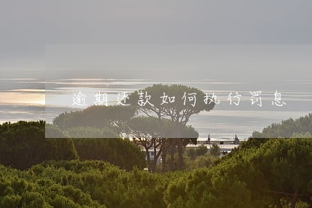逾期还款如何执行罚息 逾期还款如何执行罚息